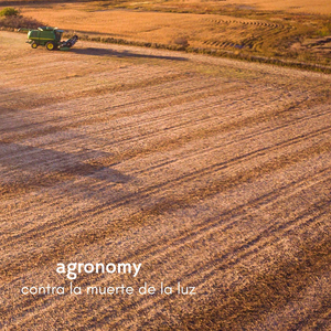 天天摸天天透天天添
