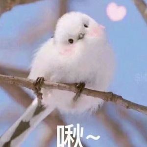 天天摸天天透天天添
